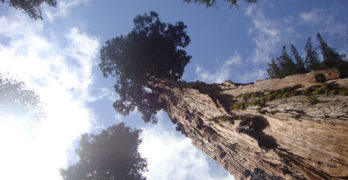 National Monuments
